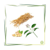 Parfümöl Vetiver Ginger Sandalwood 3 l